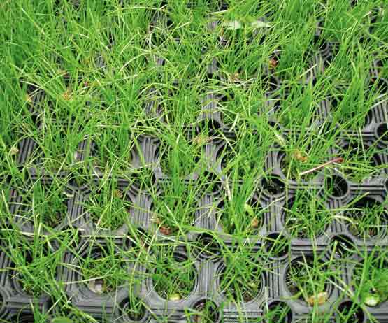 Grass Mats For Horses