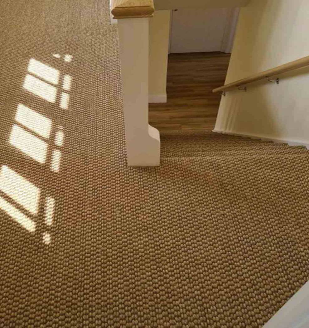 Sisal Rugs