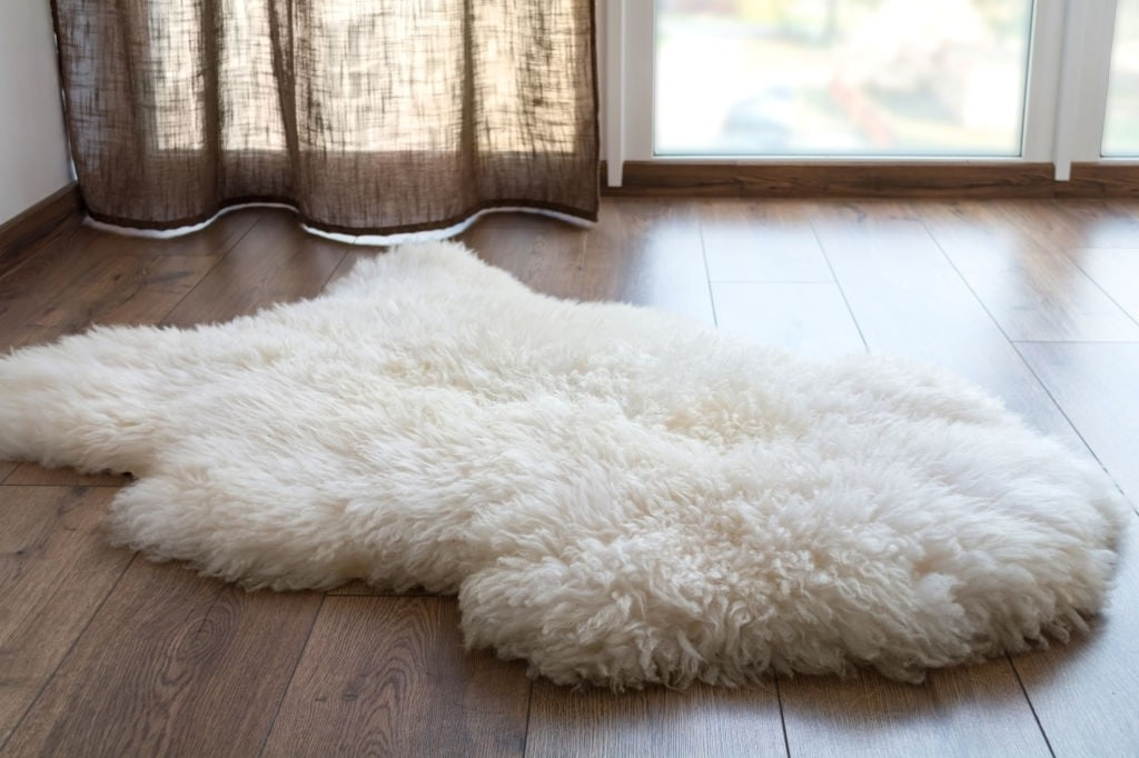 Wool Area Rugs