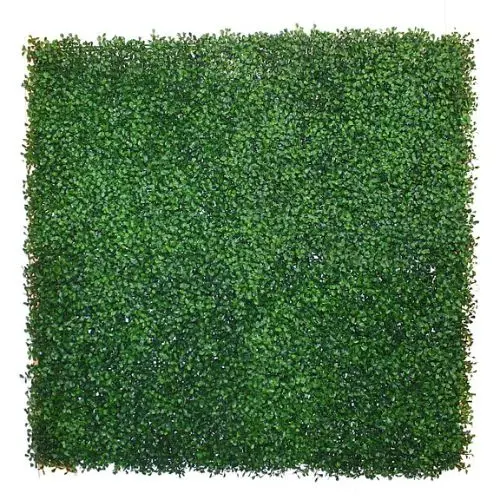 Green Wall Gaf14 in Dubai