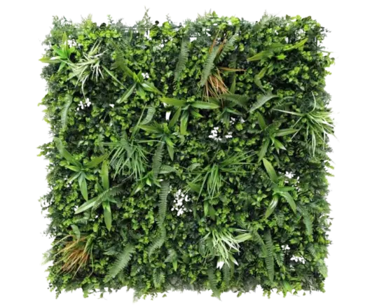 Sakura resembles wild grass