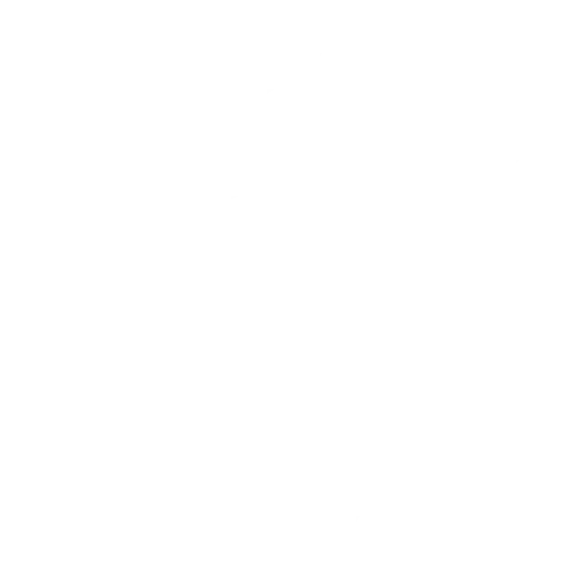 15 Years Of Experience