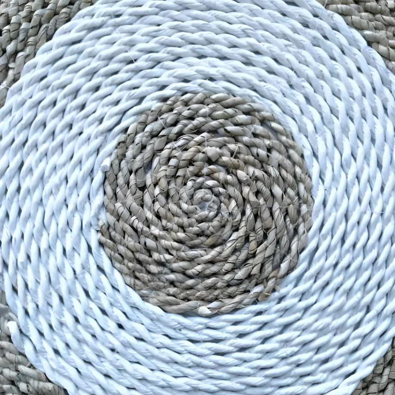 loop sea grass carpet