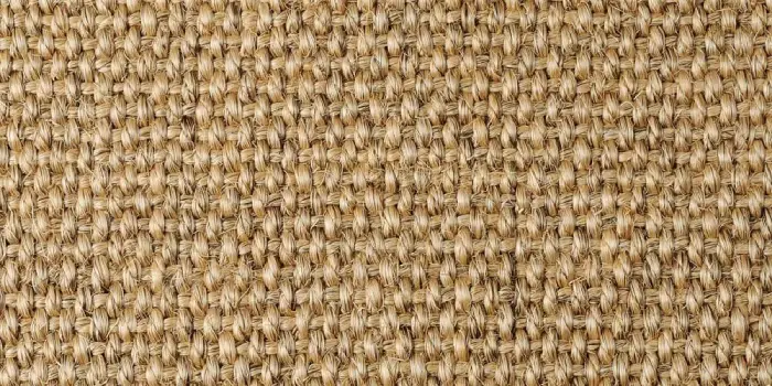 Sisal Panama