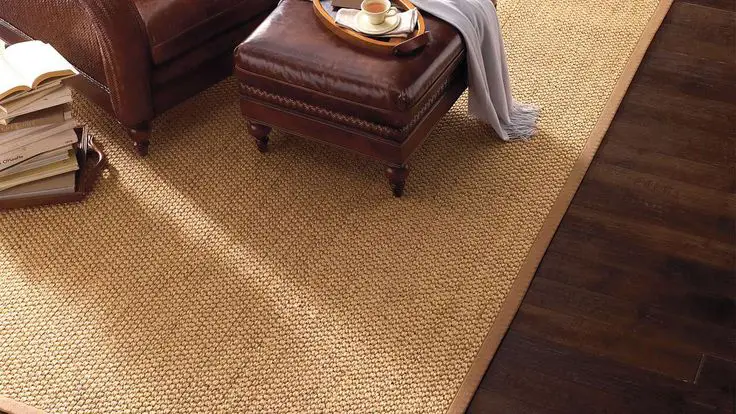 Sisal Indoor Area Rug with Non-Slip Backing