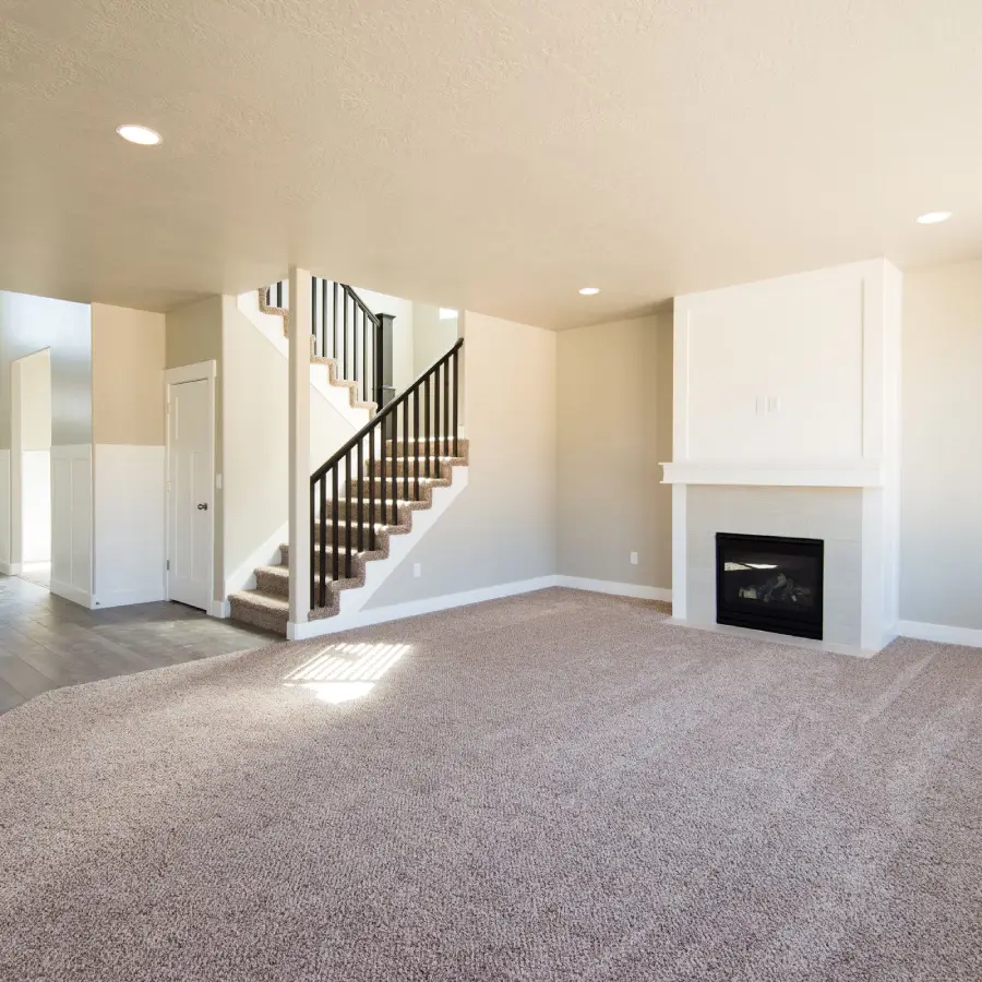 Basement beige carpet