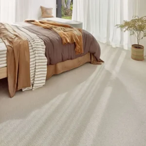 Bedroom Beige Carpets