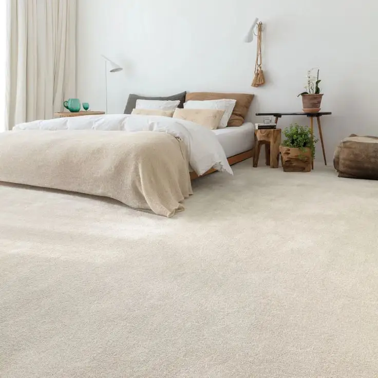 Modern Bedroom Beige Carpet