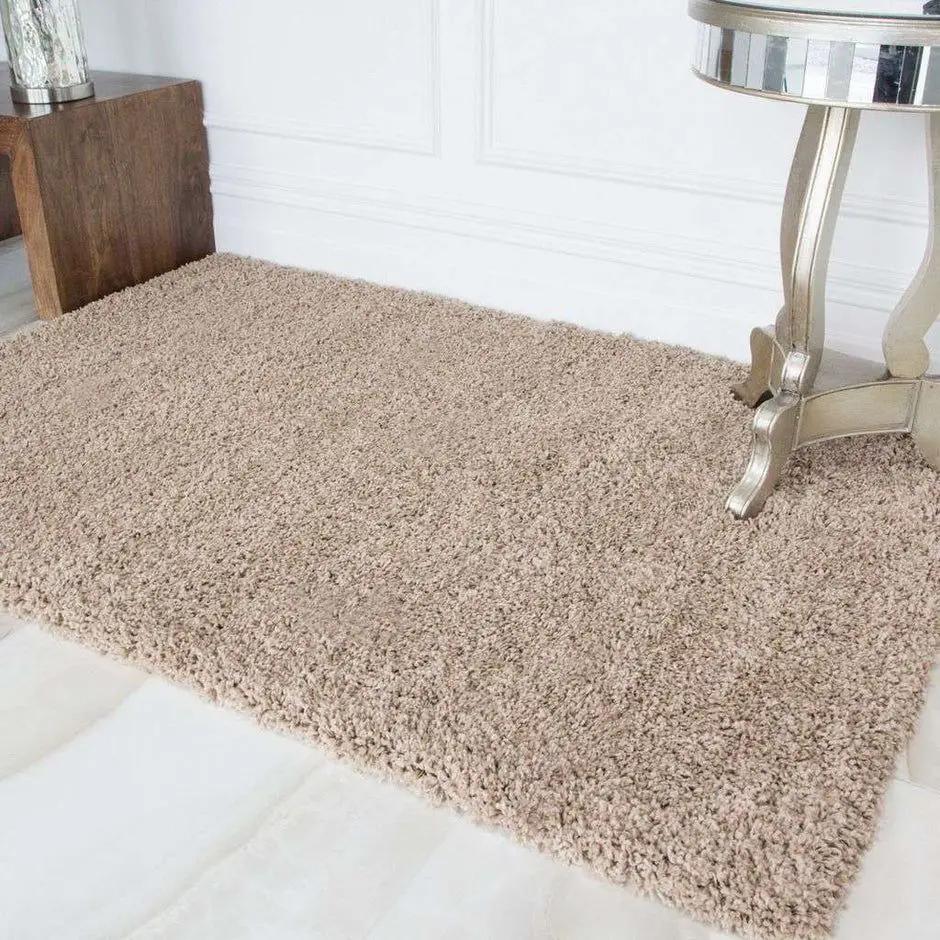 Oatmeal Beige Carpet