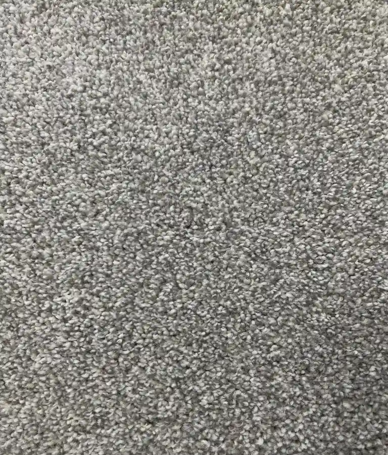 Light Grey Saxony Carpet - Image 2