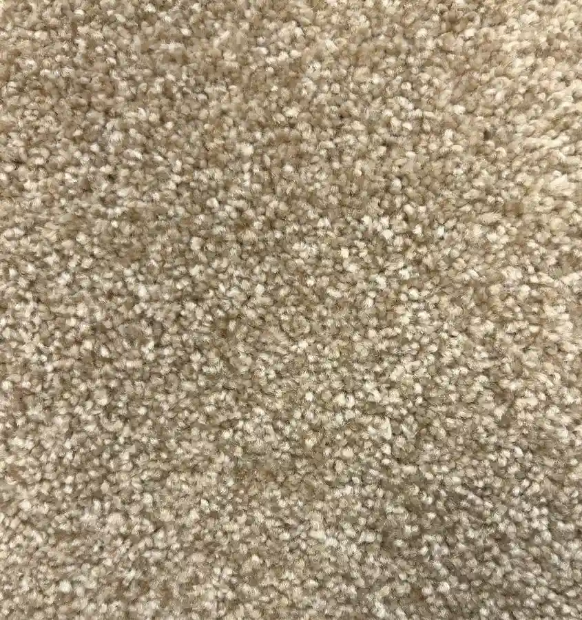 Beige Carpet - Image 2